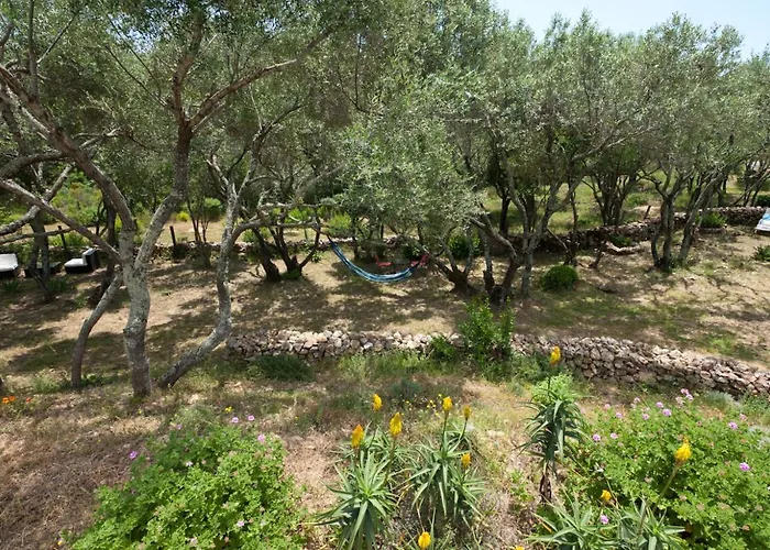 Maison Tavolara Frühstückspension