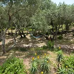 Maison Tavolara לינה וארוחת בוקר