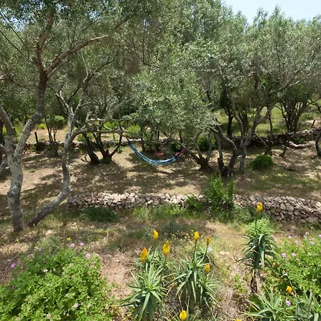 Maison Tavolara לינה וארוחת בוקר