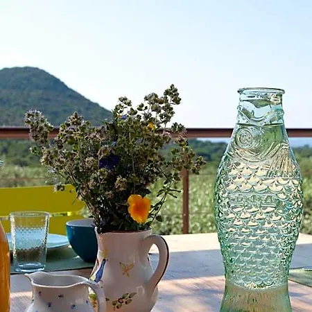 Bed and Breakfast Maison Tavolara Πόρτο Βέκιο