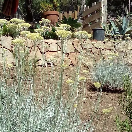 Frühstückspension Maison Tavolara