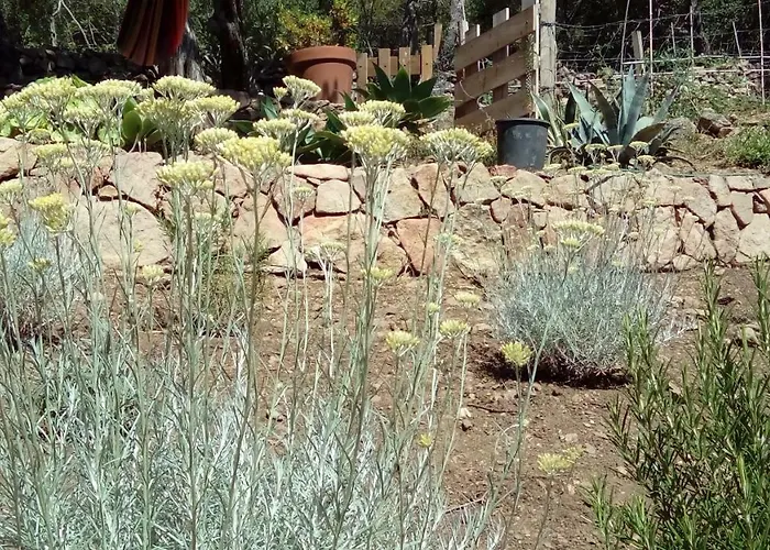 فندق مبيت وإفطار Maison Tavolara